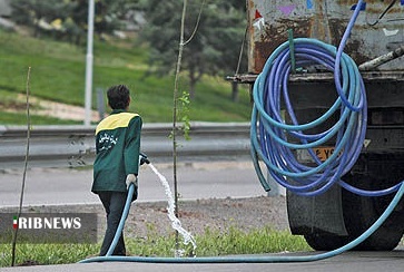 استفاده از چمن در فضاهای شهری : 