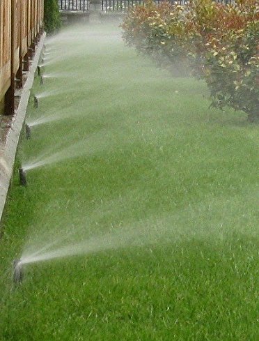 استفاده از چمن در فضای سبز : 