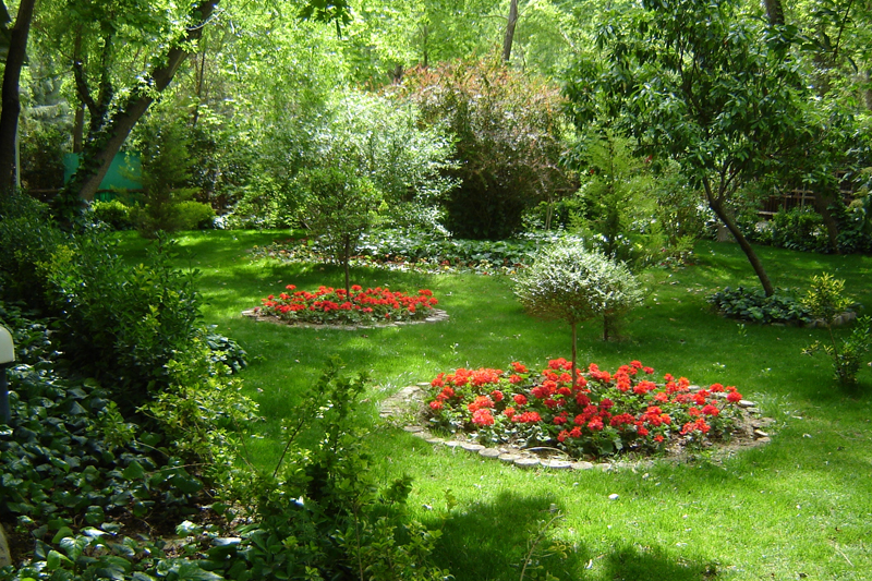 محمدیه، دومین دارنده فضای سبز در استان