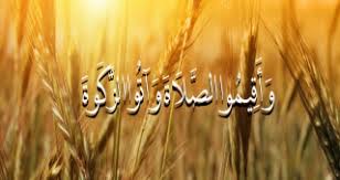 کسب رتبه نخست کشاورزان البرزی در پرداخت زکات