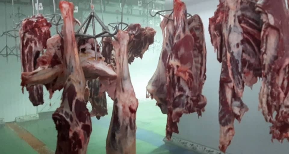 بررسی احداث کشتارگاه صنعتی در سمنان بررسی احداث کشتارگاه صنعتی در سمنان