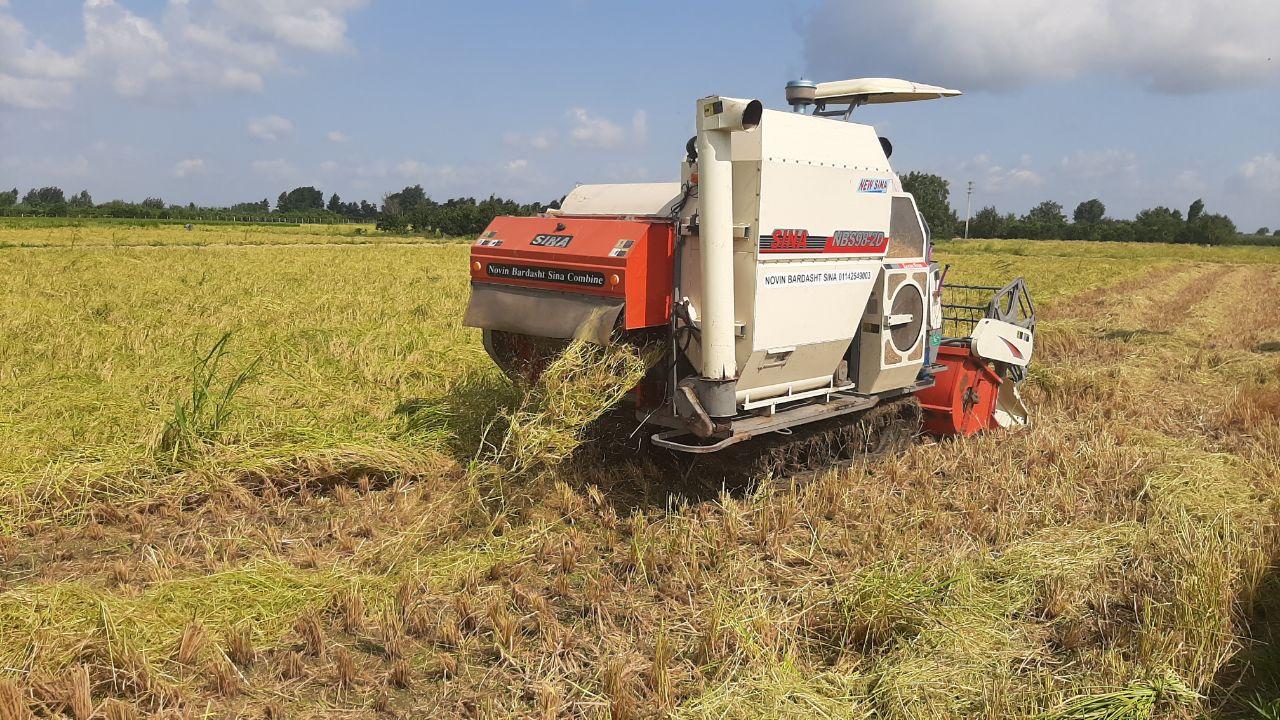 رتبه نخست قائم شهر در کشت مکانیزاسیون برنج رتبه نخست قائم شهر در کشت مکانیزاسیون برنج