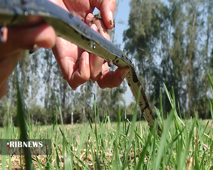 ... و طرحی نو دراندازیم ... و طرحی نو دراندازیم