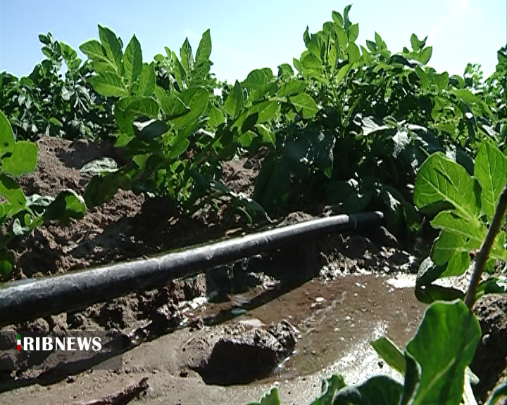 ... و طرحی نو دراندازیم ... و طرحی نو دراندازیم