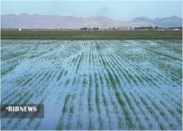 ... و طرحی نو دراندازیم ... و طرحی نو دراندازیم