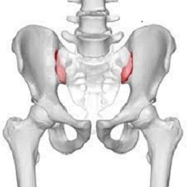 نوجوانان ورزشکار در بزرگسالی استخوان های قوی تری دارند