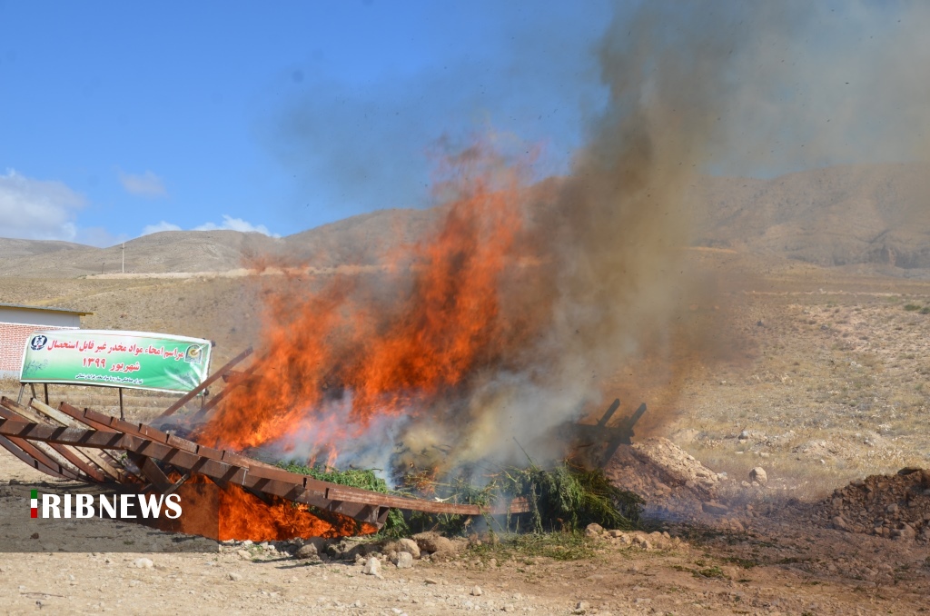 امحای نیم تن ماده مخدر در خراسان شمالي امحای نیم تن ماده مخدر در خراسان شمالي