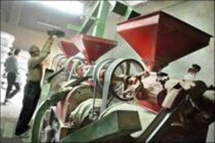 سنتی بودن ۸۰ درصد شالیکوبیهای جویبار سنتی بودن ۸۰ درصد شالیکوبیهای جویبار