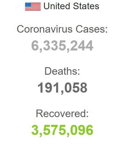 عبور تعداد جانباختگان کرونا در آمریکا از مرز ۱۹۱ هزار نفر