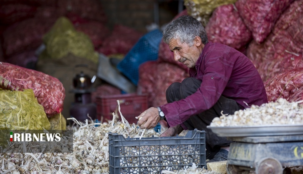 سیر همدان مرواریدی گرانبها اما مهجور
