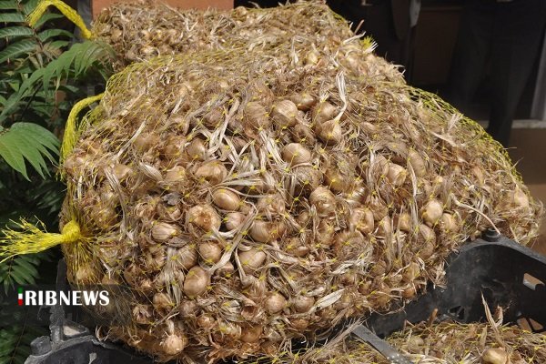 سیر همدان مرواریدی گرانبها اما مهجور