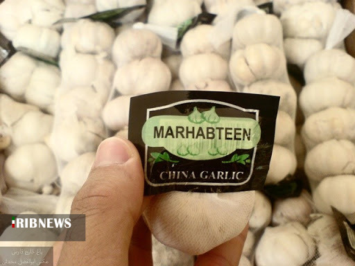 سیر همدان مرواریدی گرانبها اما مهجور