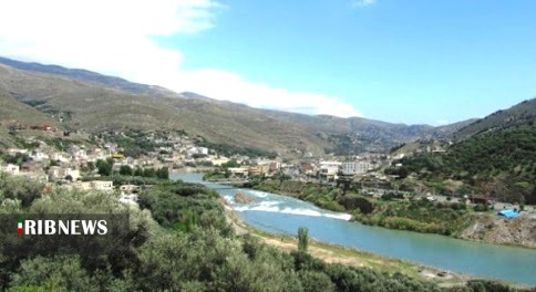 تلخ شدن طعم زیتون در ذائقه تولید