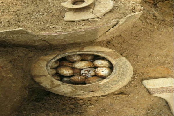 اندر احوالات تخم مرغ در فضای مجازی