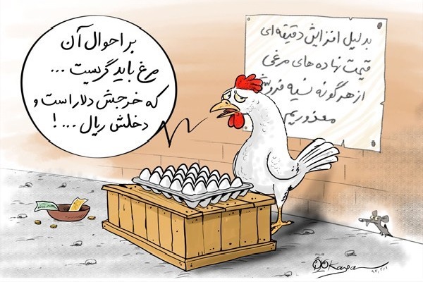 اندر احوالات تخم مرغ در فضای مجازی