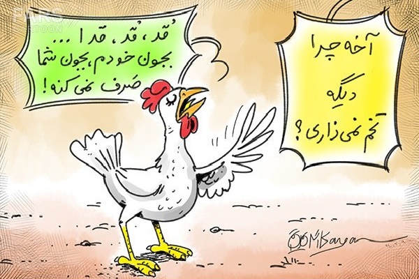 اندر احوالات تخم مرغ در فضای مجازی