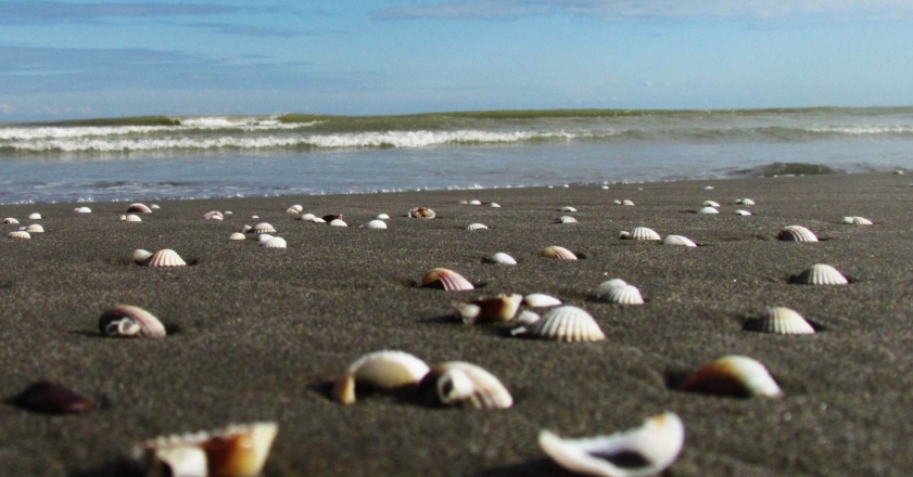 هشدار محققان نسبت به خشک شدن خلیج گرگان هشدار محققان نسبت به خشک شدن خلیج گرگان
