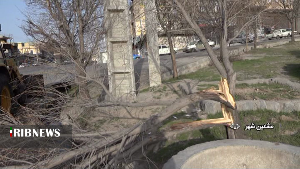 تند باد مشگین شهر را در نوردید