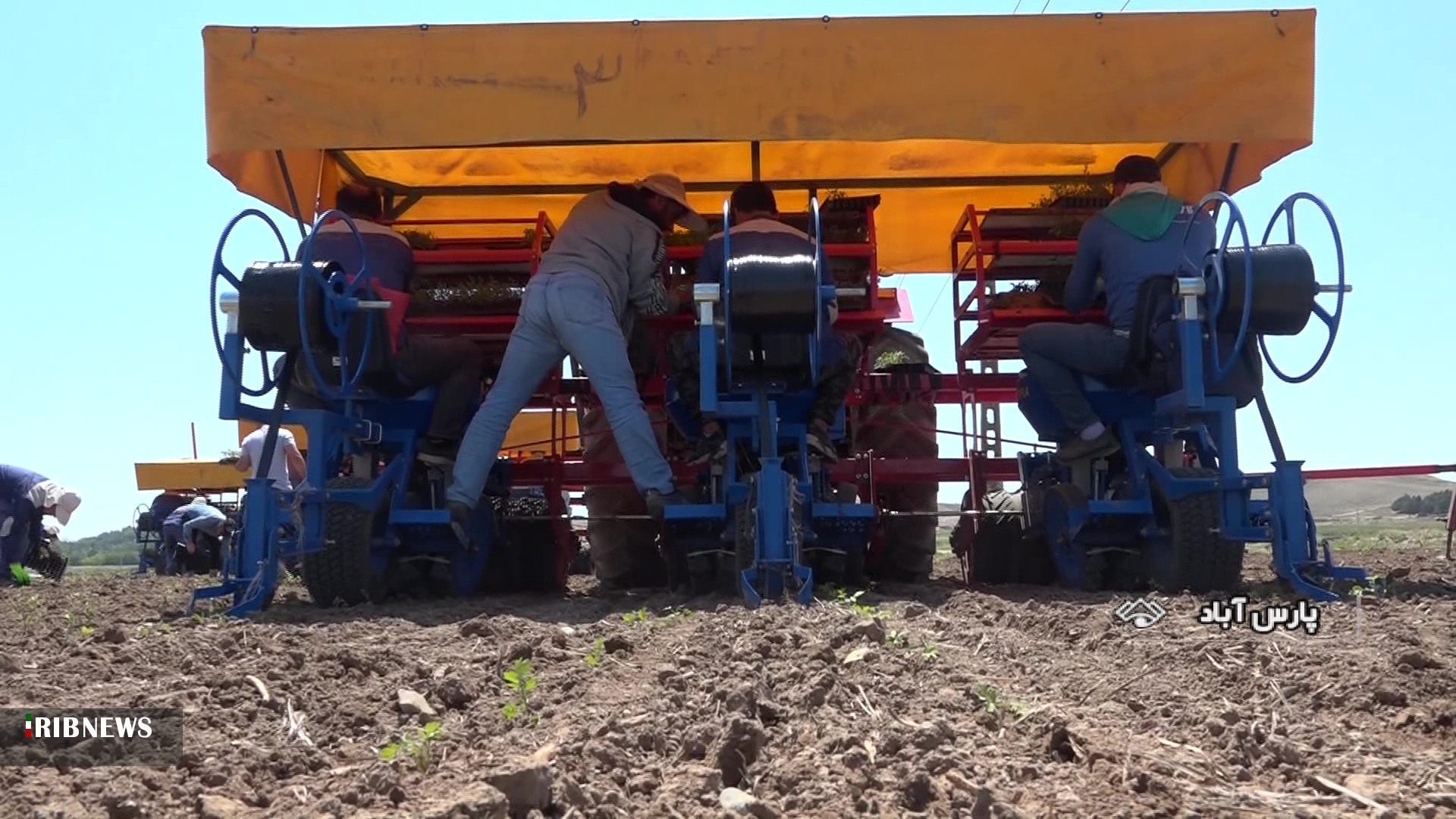 کشت مکانیزه گوجه برای رونق یافتن صنایع تبدیلی