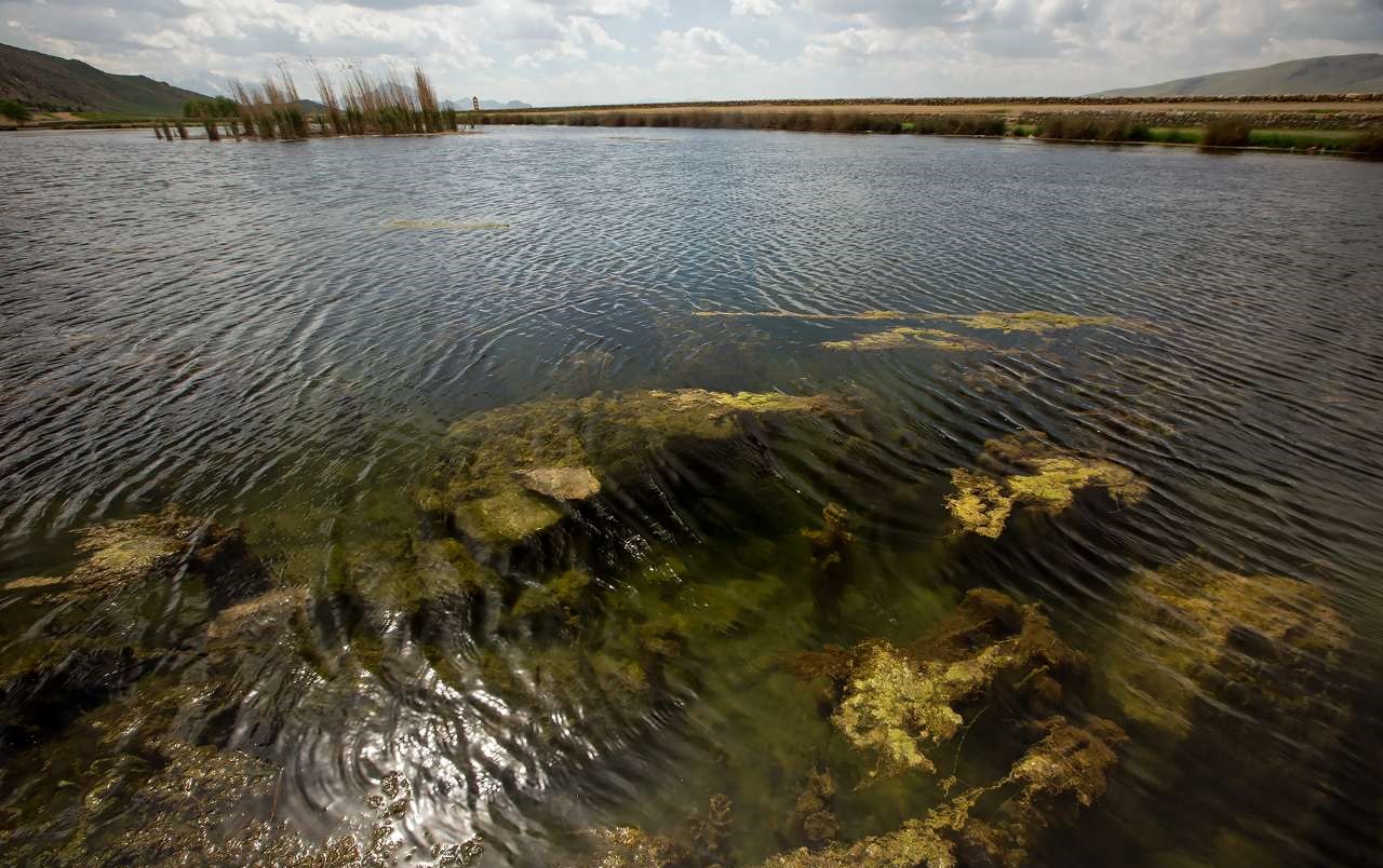خطر خشکیدگی تالاب هشیلان را تهدید می کند خطر خشکیدگی تالاب هشیلان را تهدید می کند