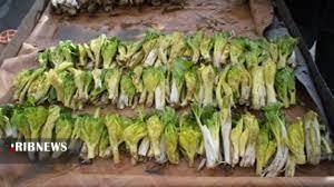 کشف ۱۷۱ کیلوگرم کلوس قاچاق در کوهرنگ