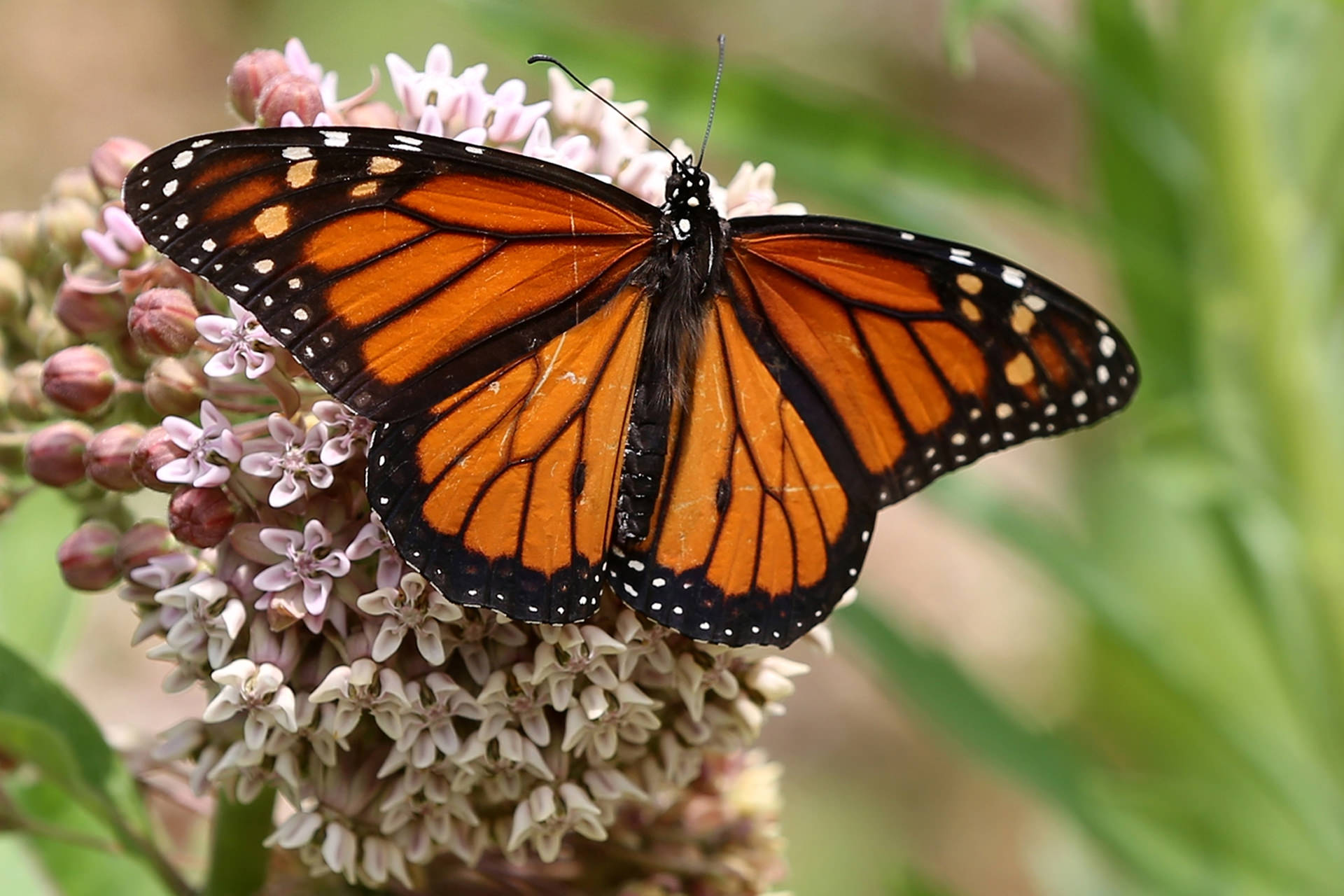 دانستنی های کوتاه و خواندنی دانستنی ها