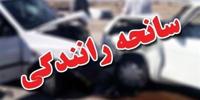 دور برگردان منظریه حادثه آفرید
