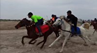 برگزاری مسابقه استانی اسب دوانی در میناب