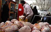 توزیع روزانه ۳۰ تُن مرغ منجمد در کردستان