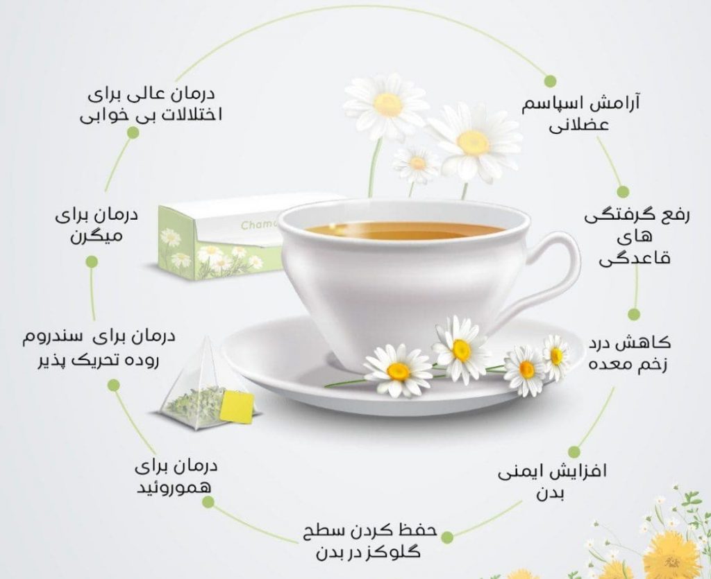 خواص عجیب بابونه در لاغری و سلامتی! خواص عجیب بابونه در لاغری و سلامتی!