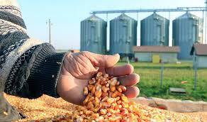 تسریع بررسی های بهداشتی دامپزشکی در ترخیص نهاده های دامی وارداتی