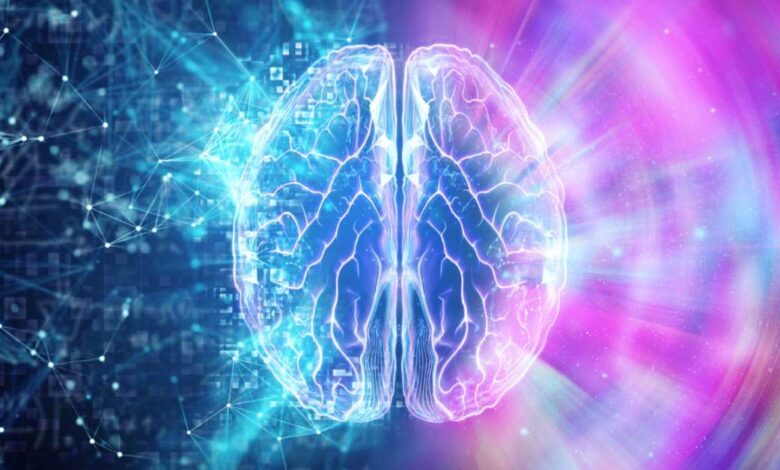 مغز تصمیم می گیرد چه اطلاعاتی را فراموش کند