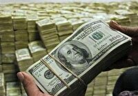 دیپلماسی دولت در حوزه اقتصاد به ثمر نشست/ بازار ارز با استراتژی فرزین به ثبات رسید