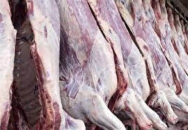 توزیع گوشت گرم تنظیم بازار به کجا رسید؟