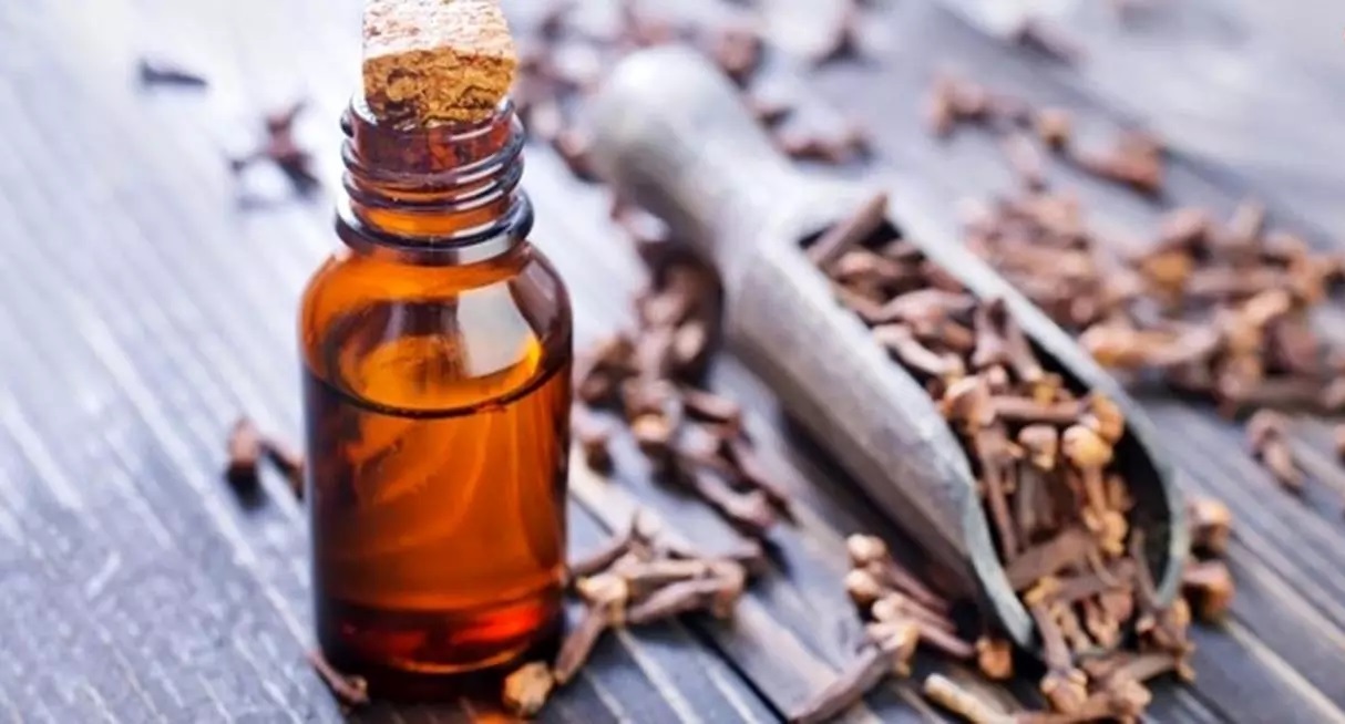 خوردن روزی ۲ عدد میخک و اثرات شگفت انگیز آن در بدن خوردن روزی ۲ عدد میخک و اثرات شگفت انگیز آن در بدن