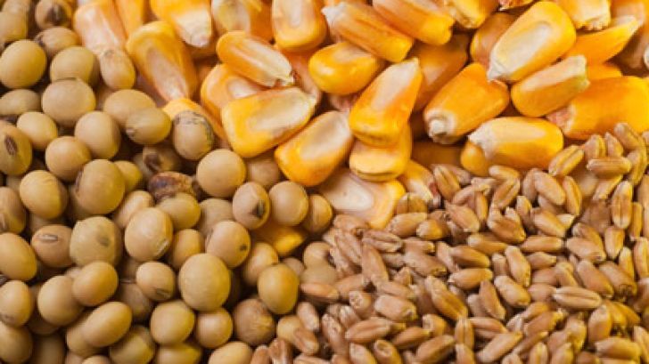 توزیع بیش از ۵۰۰ تن نهاده دامی در شوش توزیع بیش از ۵۰۰ تن نهاده دامی در شوش