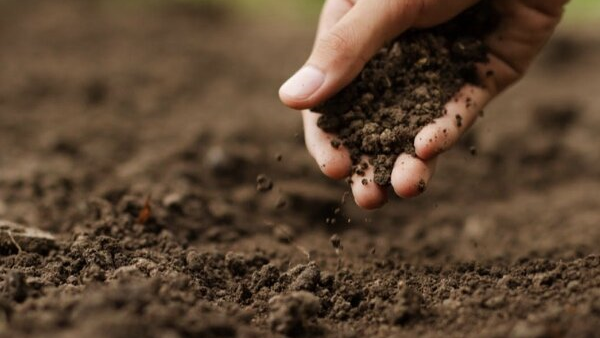 دستاورد جدید محقق ایرانی برای تثبیت خاک با مواد دورریز دستاورد جدید محقق ایرانی برای تثبیت خاک با مواد دورریز