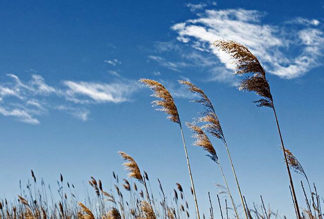 گرمای کم سابقه آخرین روز‌های اسفند در گیلان