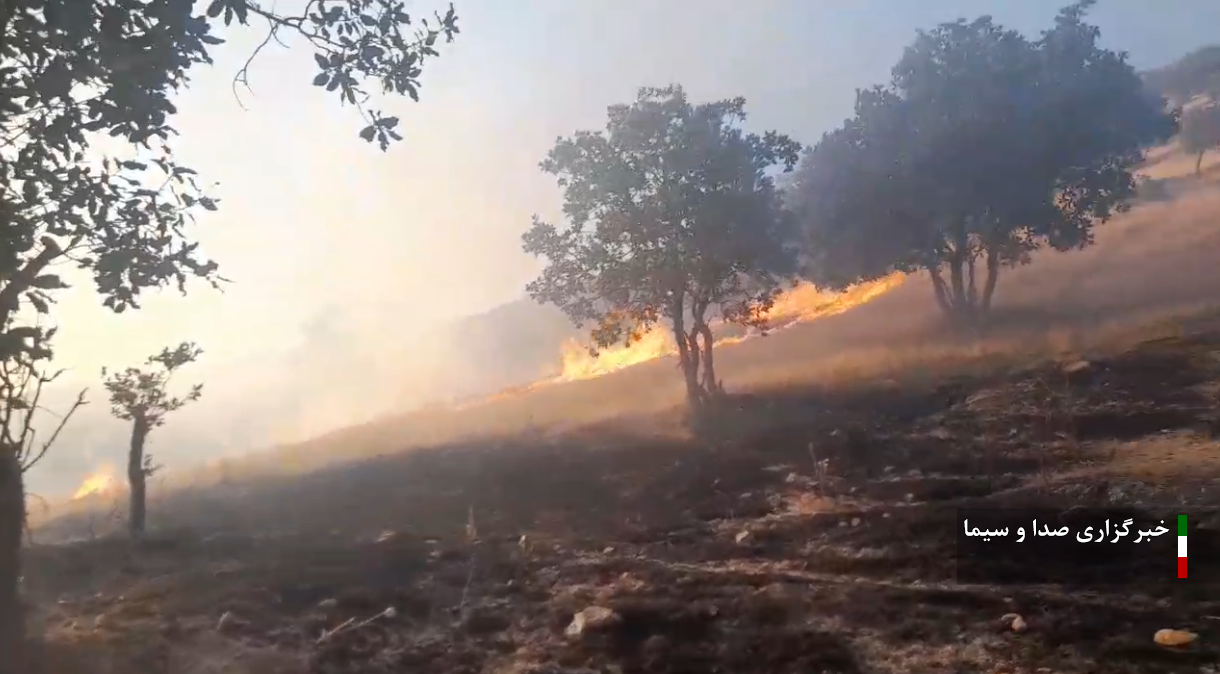 مهار ۸۰ درصد آتش سوزی در جنگل‌های دزپارت/ درخواست بالگرد آبپاش داده شد