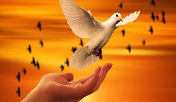 آزادی ۱۵ زندانی جرائم غیرعمد در همدان آزادی ۱۵ زندانی جرائم غیرعمد در همدان