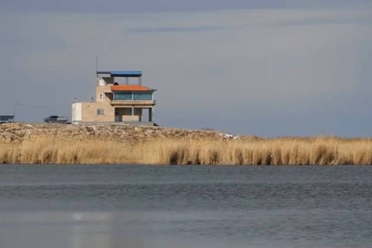 بروزرسانی سایت پرنده نگری کانی برازان بروزرسانی سایت پرنده نگری کانی برازان