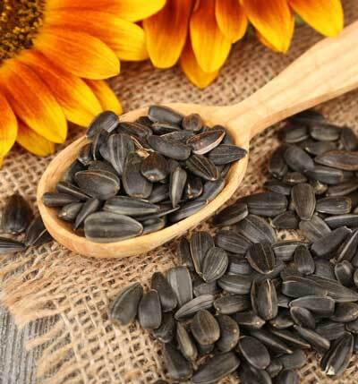 جریمه و ضبط خودرو تاوان قاچاق بذر آفتابگردان در ارومیه جریمه و ضبط خودرو تاوان قاچاق بذر آفتابگردان در ارومیه