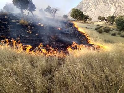 خاموش شدن آتش در ارتفاعات شهرستان لالی خاموش شدن آتش در ارتفاعات شهرستان لالی