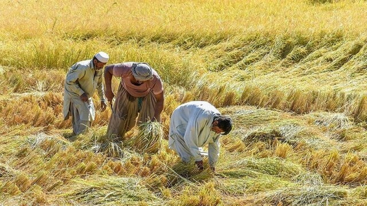 اتمام حجت مجریان قانون در موضوع بکارگیری اتباع غیرمجاز