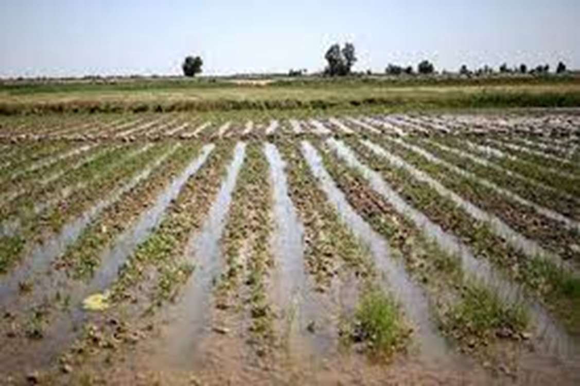 برآورد خسارت ۱۶۰ میلیارد ریالی به بخش کشاورزی شهرستان مهاباد