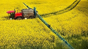 پیش‌بینی برداشت زودهنگام محصولات کشاورزی در گلستان