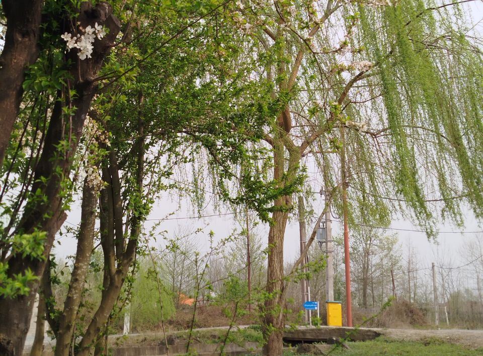 خروج سامانه بارشی از گیلان خروج سامانه بارشی از گیلان