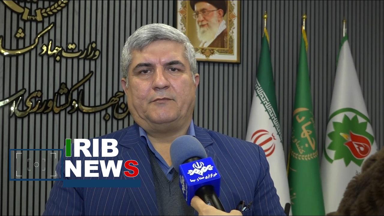 بررسی برنامه‌های تأمین کالا‌های اساسی