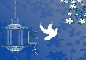 آزادی ۸ زندانی جرایم غیرعمد با هدیه تولد پدر اردبیلی