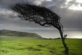 وزش باد در خراسان‌رضوی شدت می‌گیرد